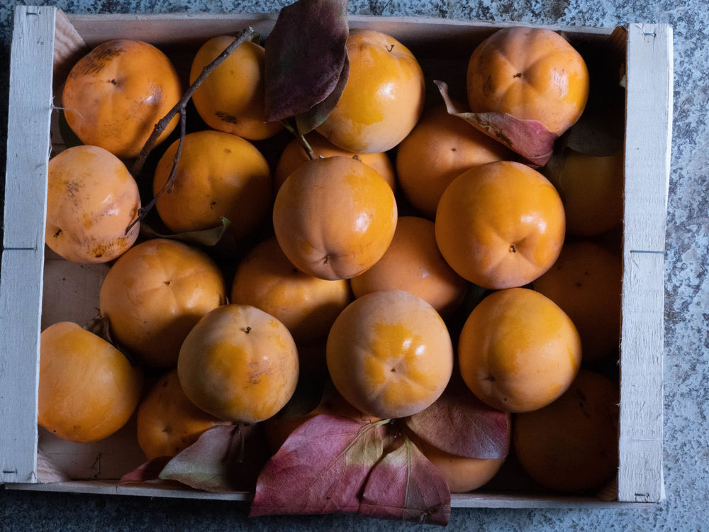 Fruits kakis 10 La Motte-Servolex (73)