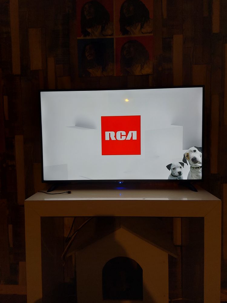 Tv full HD 110 cm 80 Ch�teau-Renard (45)