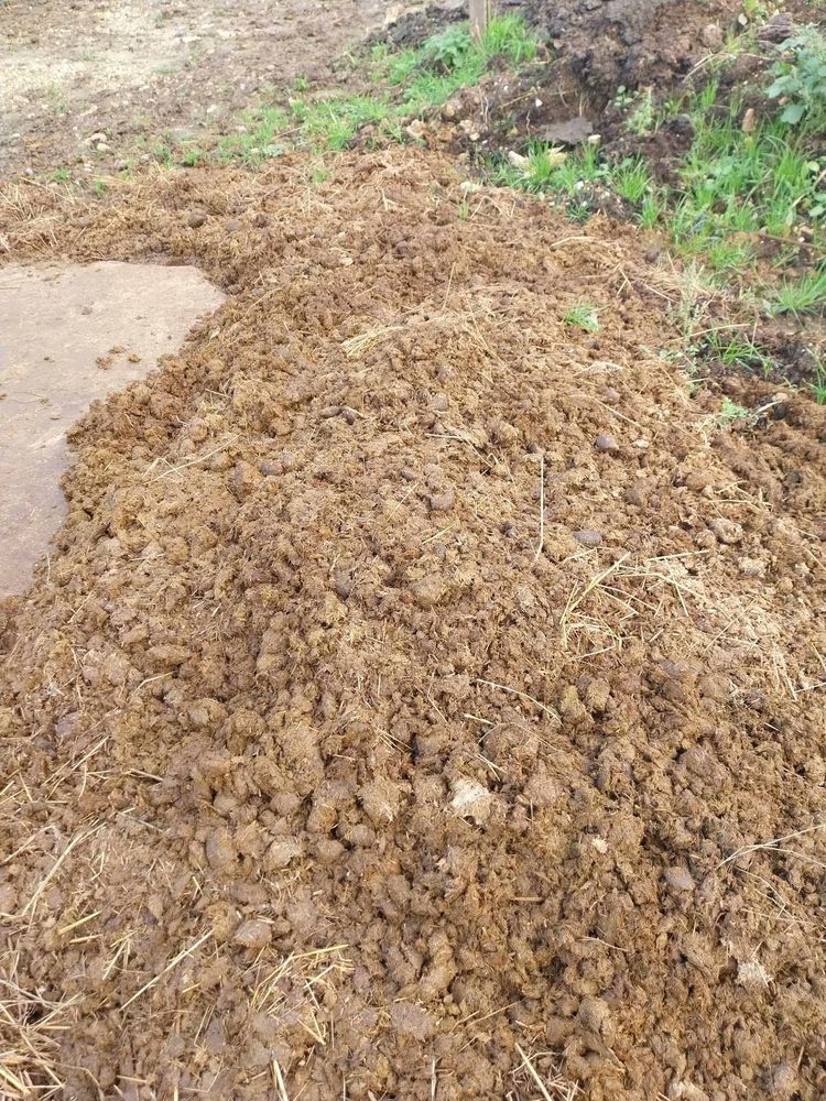 Fumier cheval 0 Auneau (28)