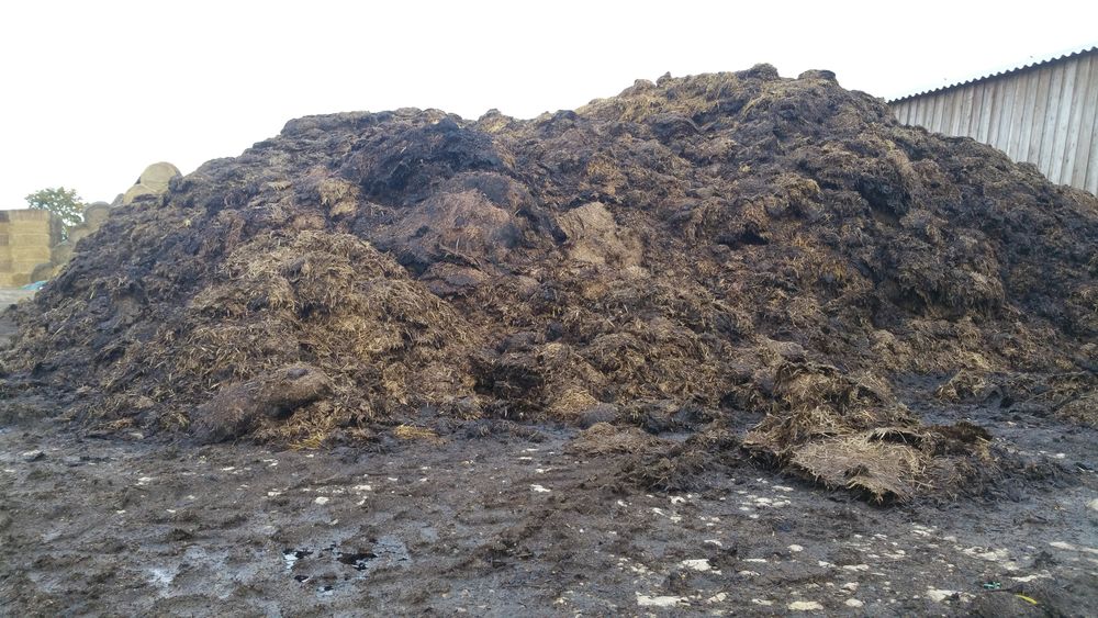 Fumier composter 10 Germond-Rouvre (79)