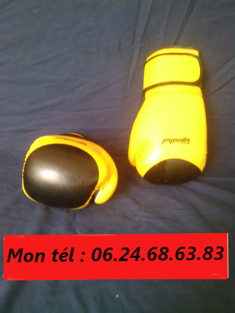 Gants de boxe Taj Mahal pour adulte 8 Marseille 10 (13)