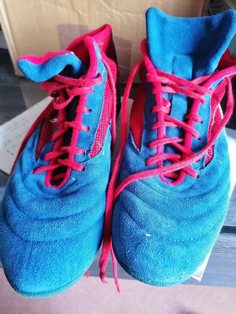 Gants de Boxe 
40 Cognin (73)