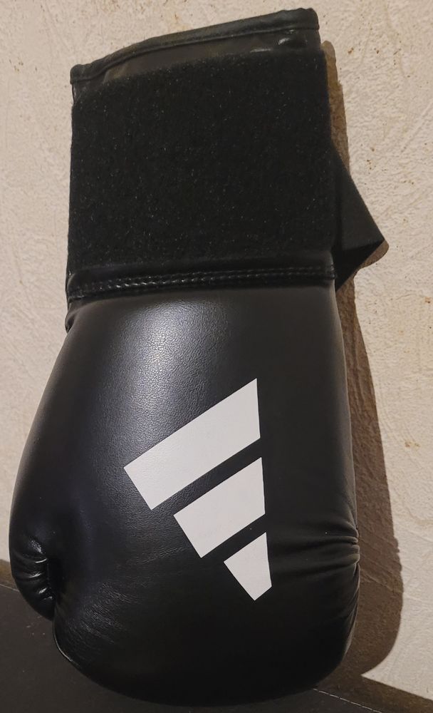 Gants de boxe 20 Colmar (68)