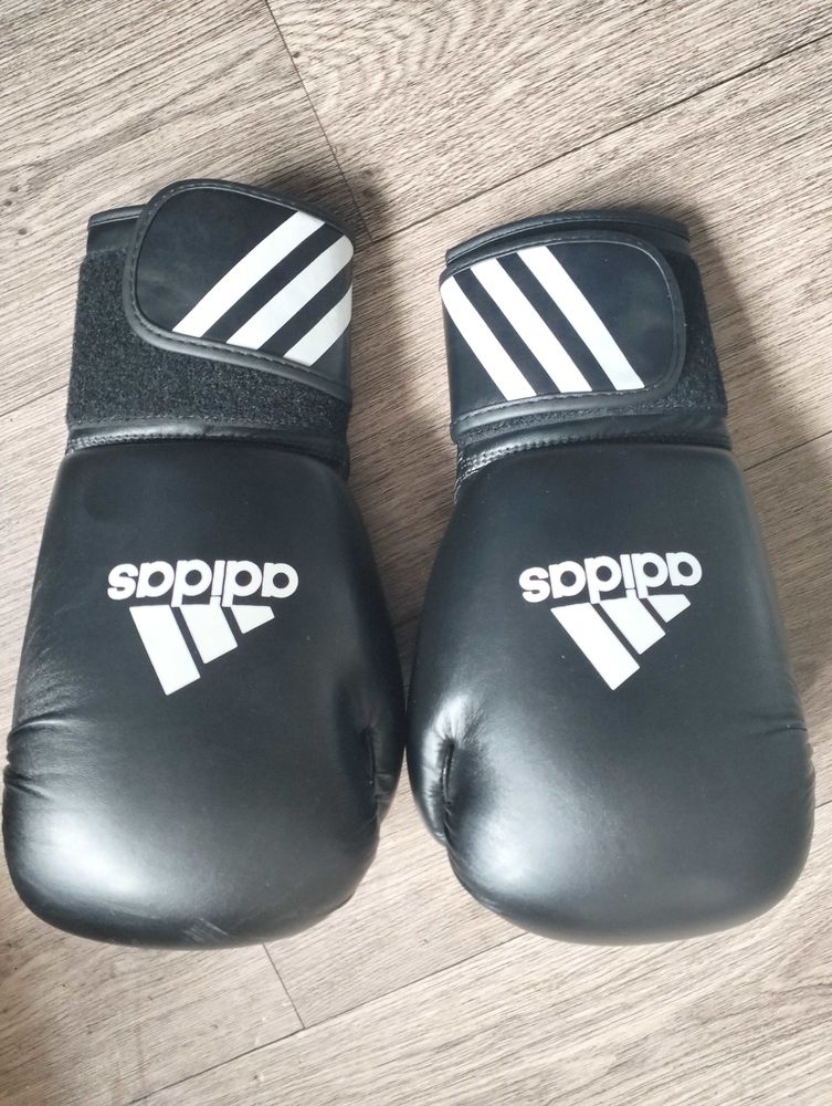 gants de boxe 10 Saint-Etienne (42)