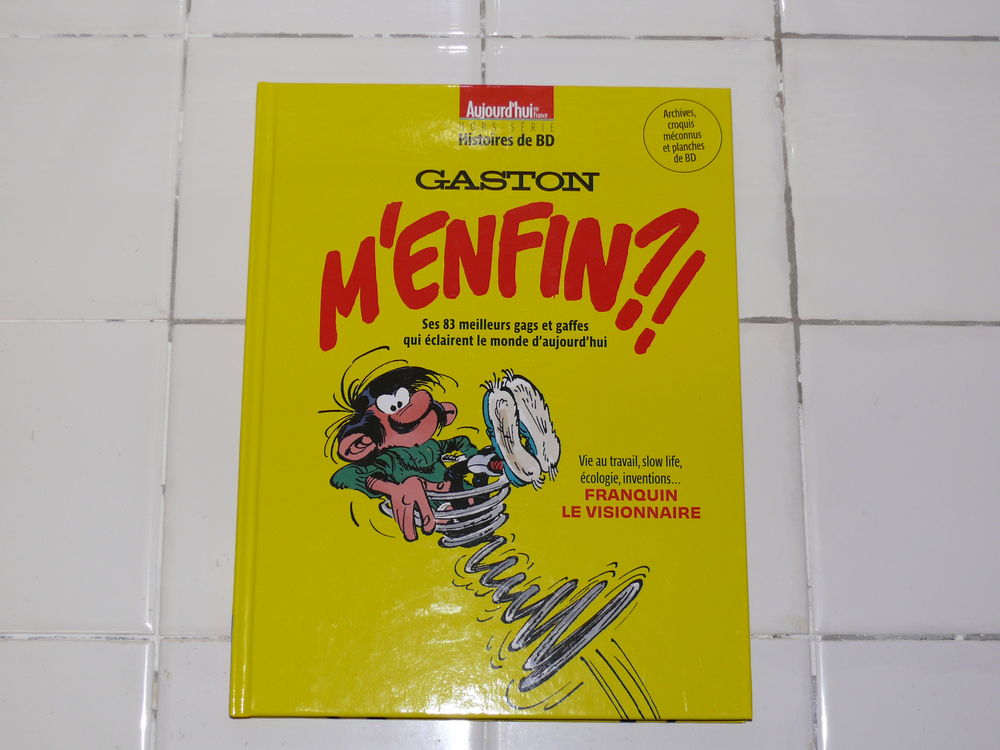 BD :  Gaston  10 Saintes (17)