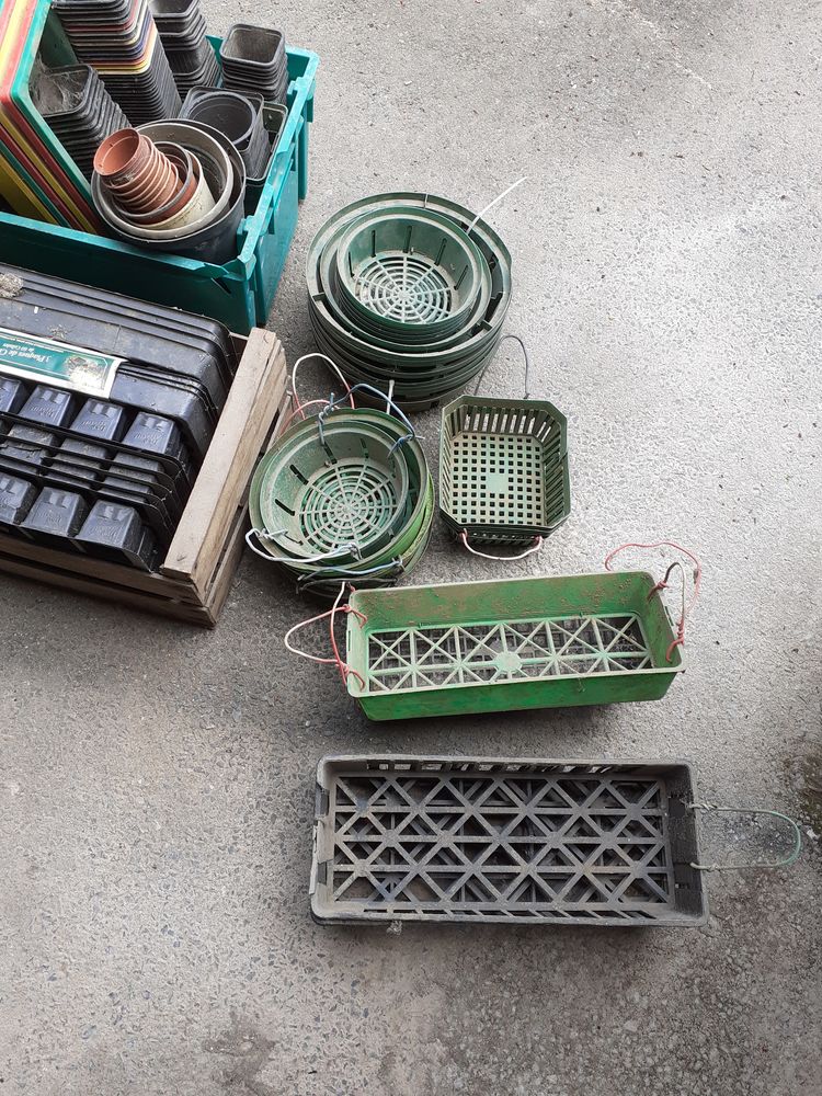 Lot gauder et panier � bulbes 25 Fourchambault (58)