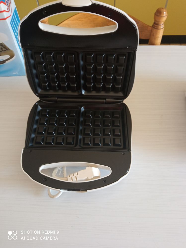 gaufrier 10 Peyrusse (15)