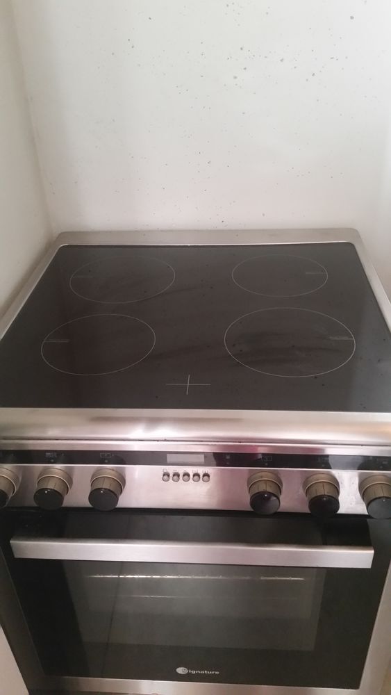 Gazini�re � induction 250 Troyes (10)