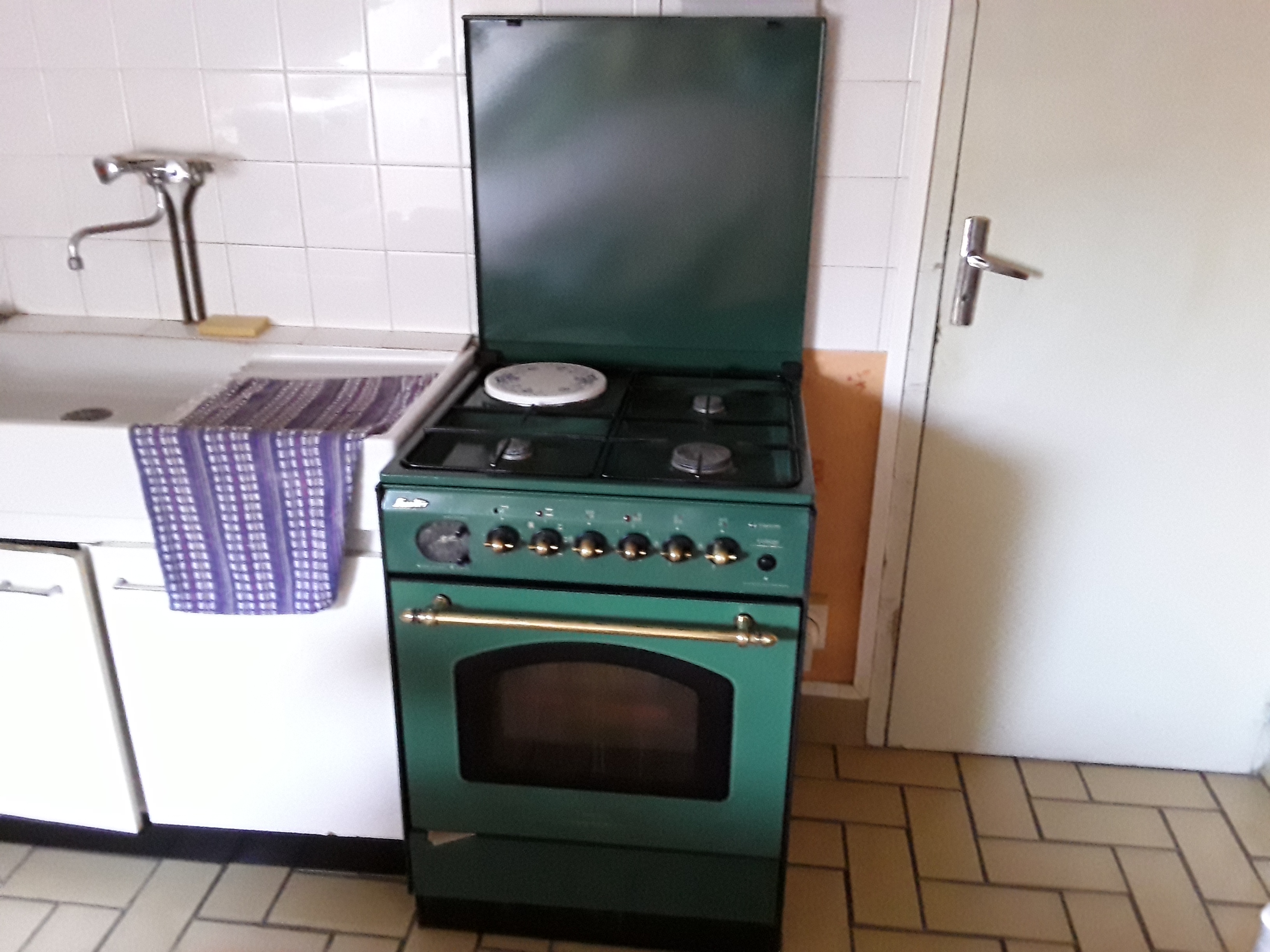 Gazini�re  verte   tr�s   chouette 120 Les Loges-Marchis (50)