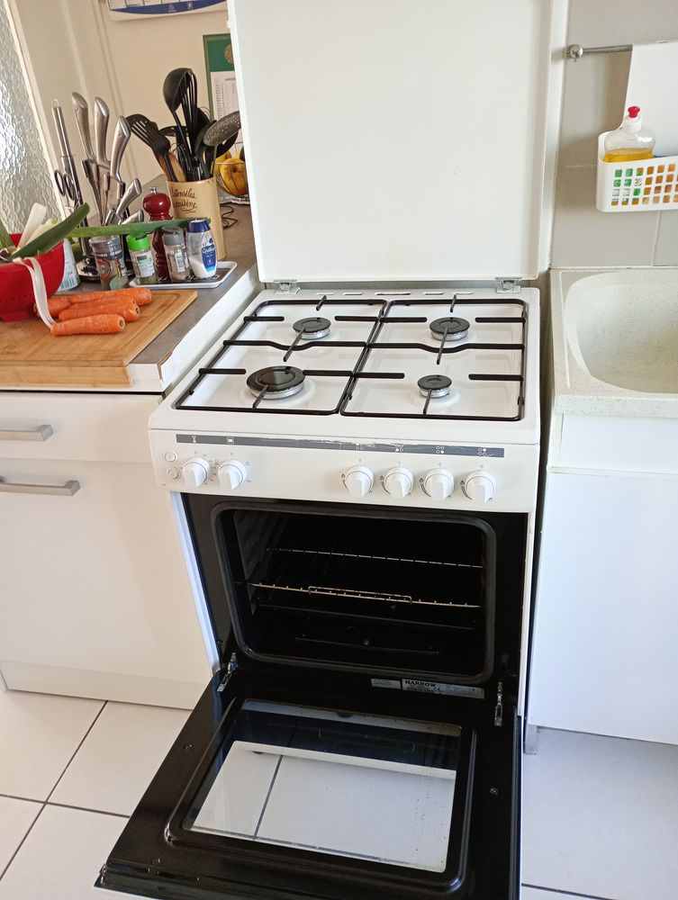 Gazini�re 40 Bourgoin-Jallieu (38)