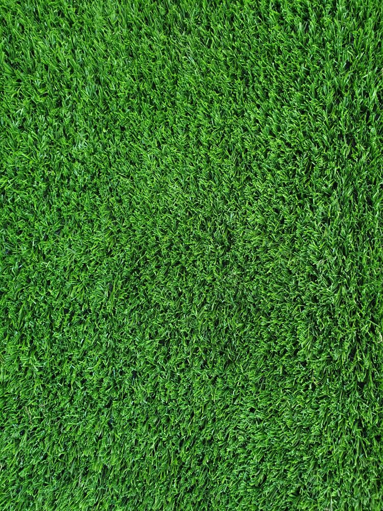 Gazon synth�tique � la d�coupe Haut de gamme 15 Ambar�s-et-Lagrave (33)