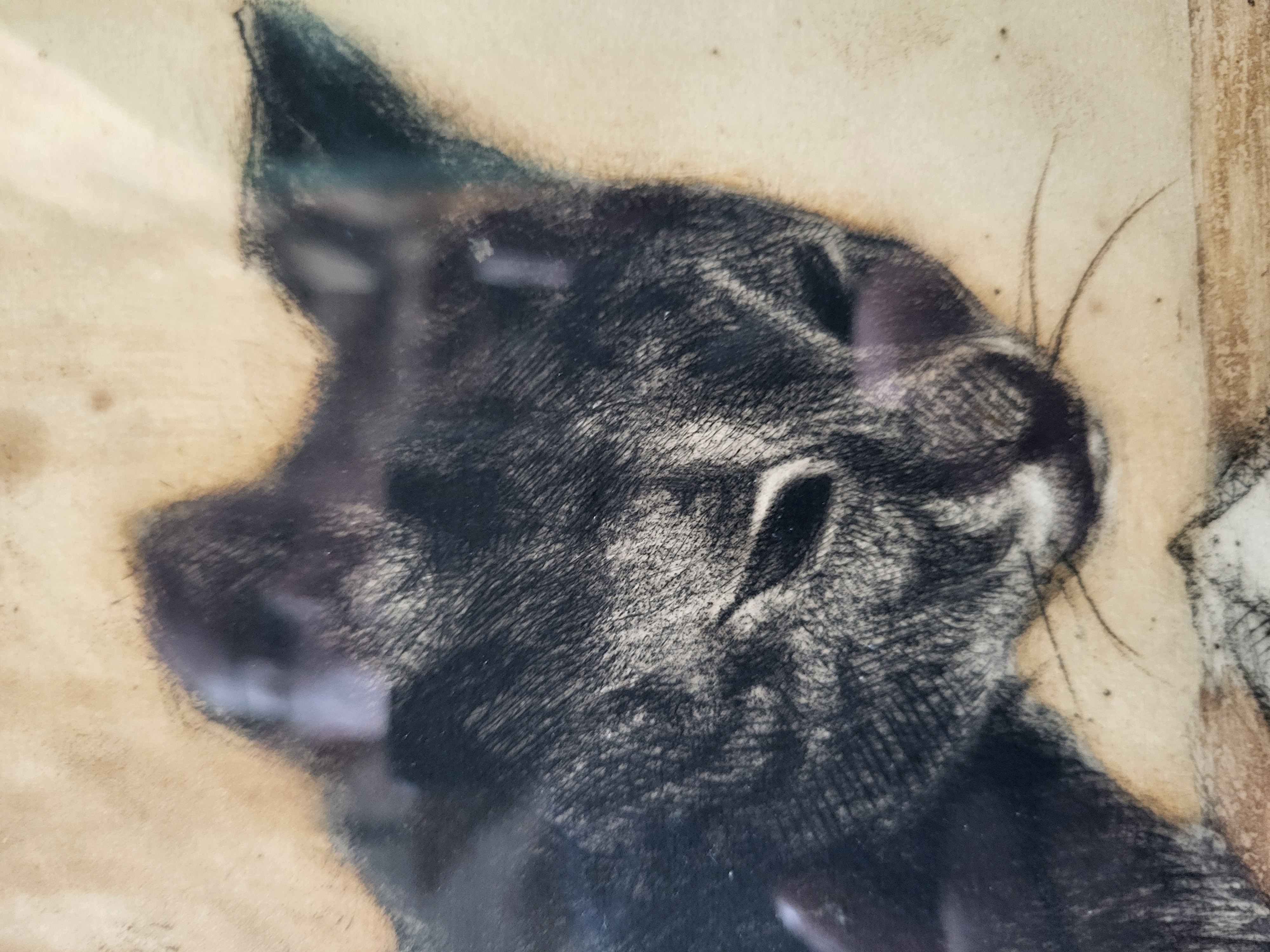 Georges roux 150 Vireux-Molhain (08)