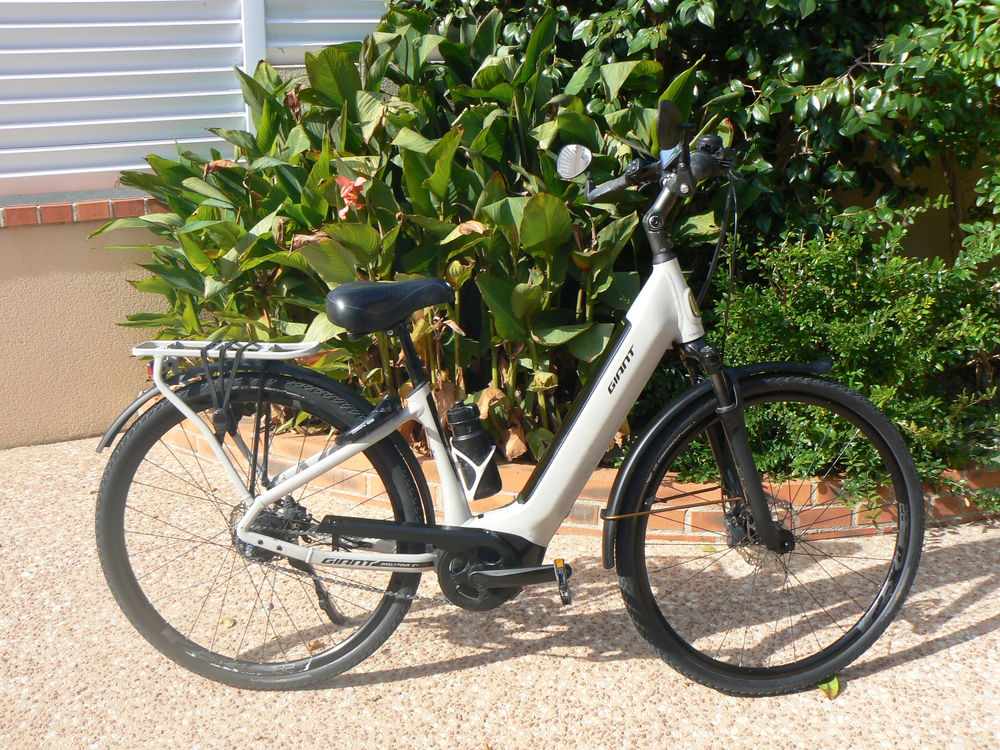 VTC GIANT 1500 Bretignolles (79)