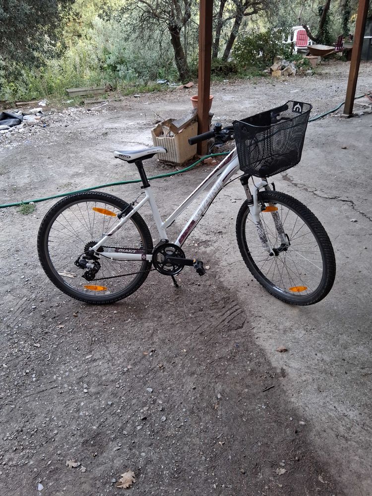 GIANT 150 Ampus (83)