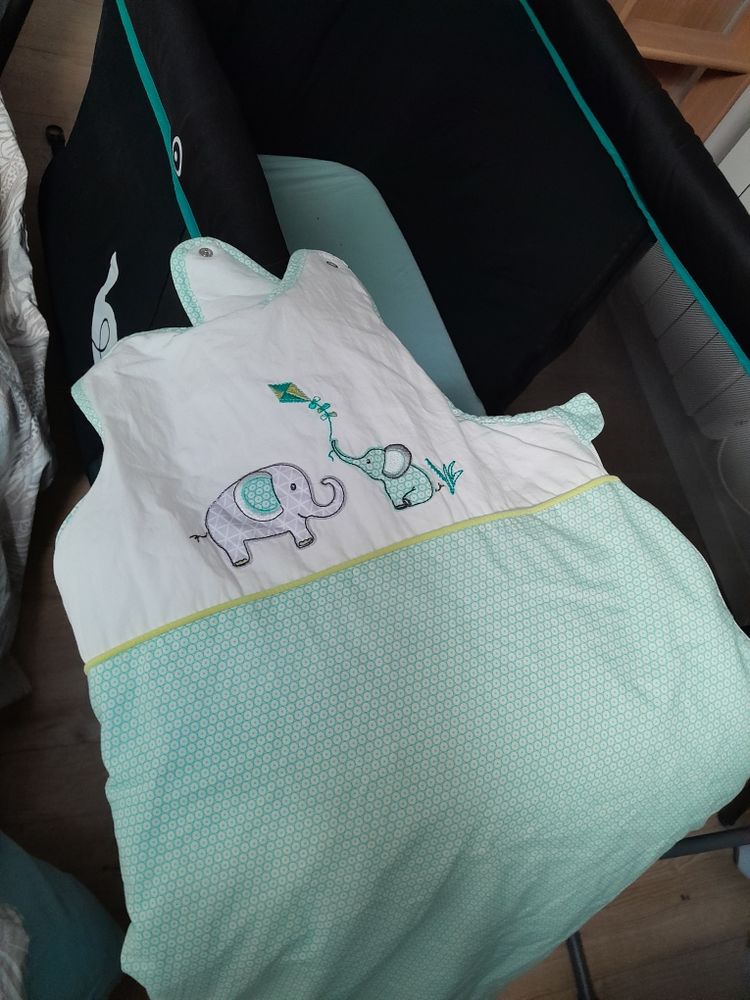 Gigoteuse verte et blanche 15 Riom (63)