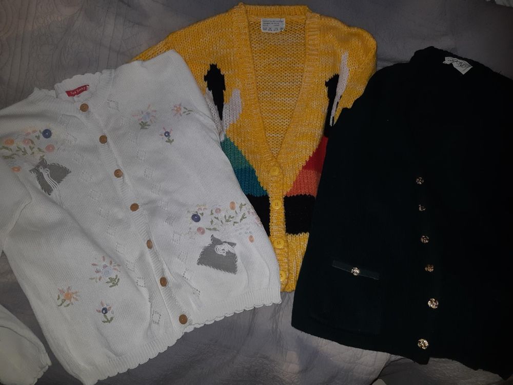 3 gilets au choix 10 Le Plessis-Robinson (92)