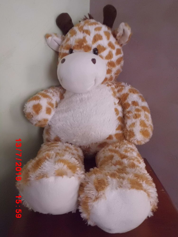 GIRAFE MAX & SAX 24 Oignies (62)