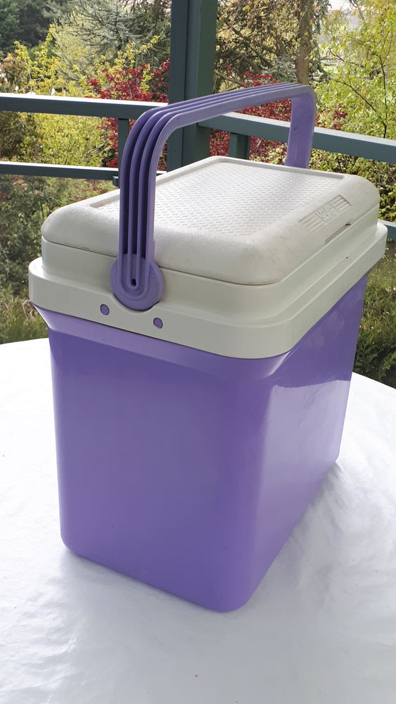 Glaci�re 24 litres avec 1 pain de glace 10 Montigny-Lencoup (77)