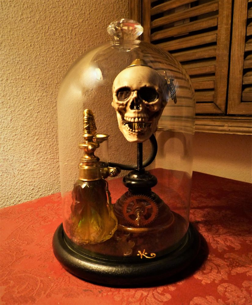 Globe de Curiosit�  SKULL OF VANITY XIX  Steampunk 110 Mont-de-Marsan (40)