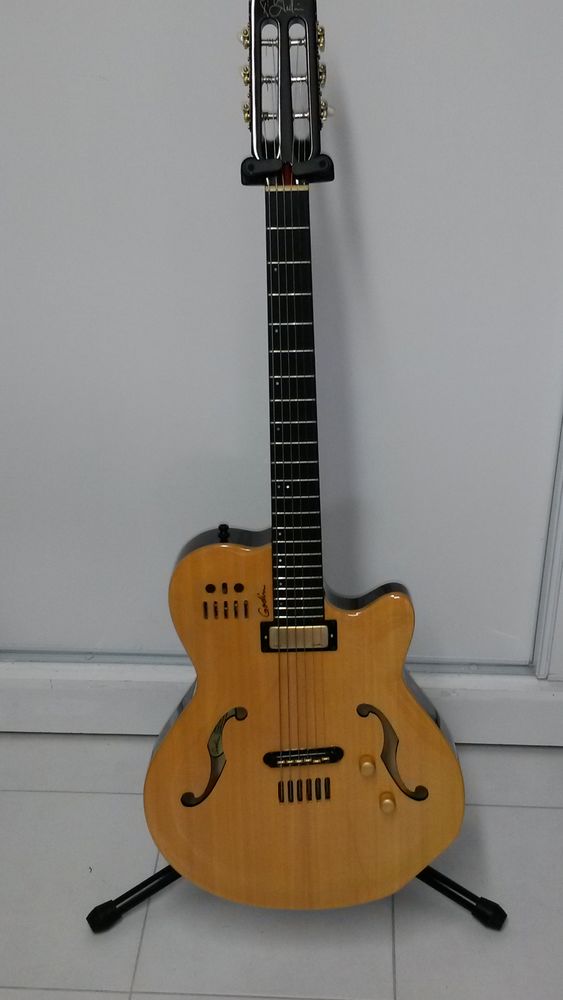 godin multiac jazz 1950 Compi�gne (60)