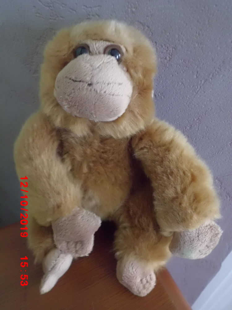 GORILLE MARRON NATURE PLANET 11 Oignies (62)