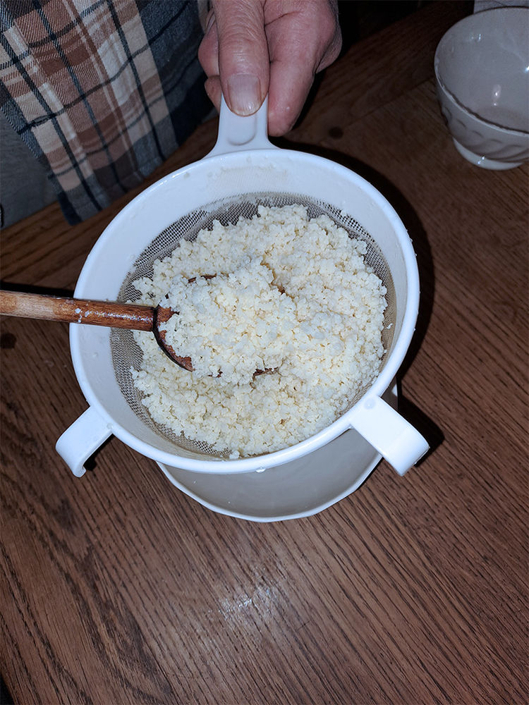 Grains de  Kefir de lait   Bio
4 Orl�at (63)