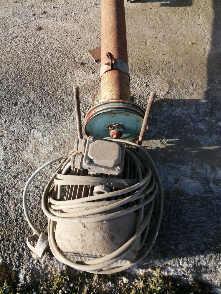 Vis � grains
250 Campistrous (65)