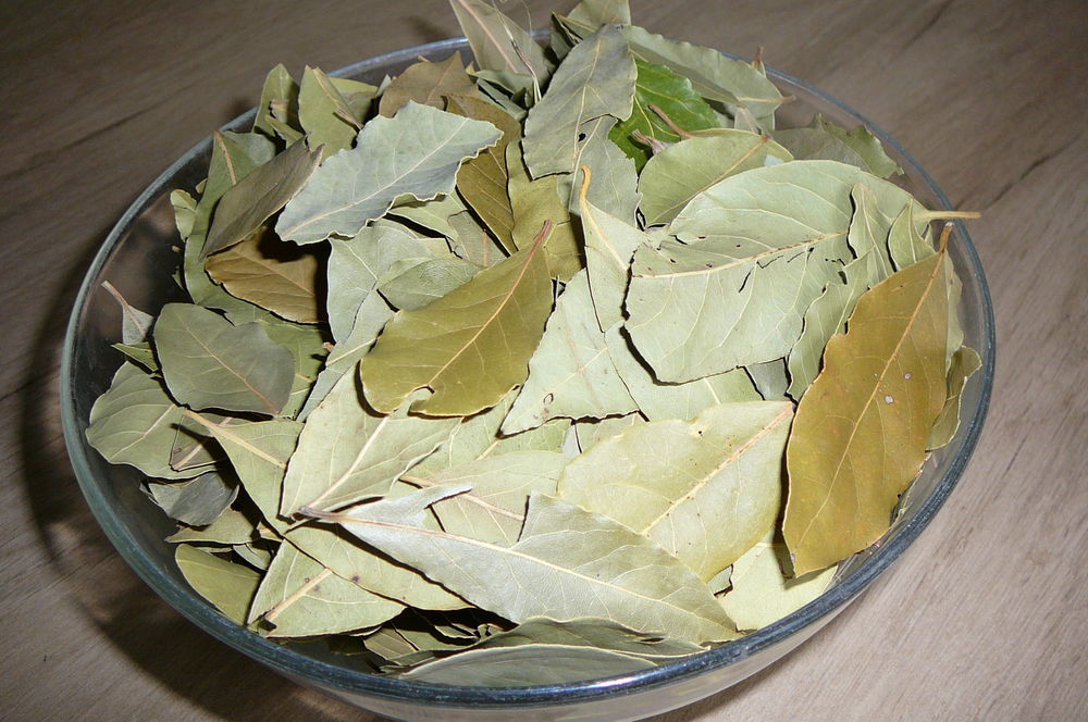 100 Grammes de LAURIER SAUCE BIO 3 Angers (49)