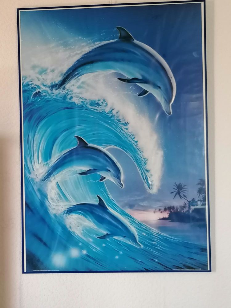 grand cadre en verre  image dauphins 25 Aytr� (17)