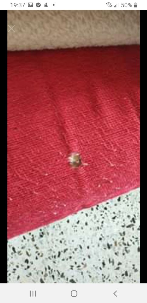 Grand canap� d angle 100 Bonnard (89)