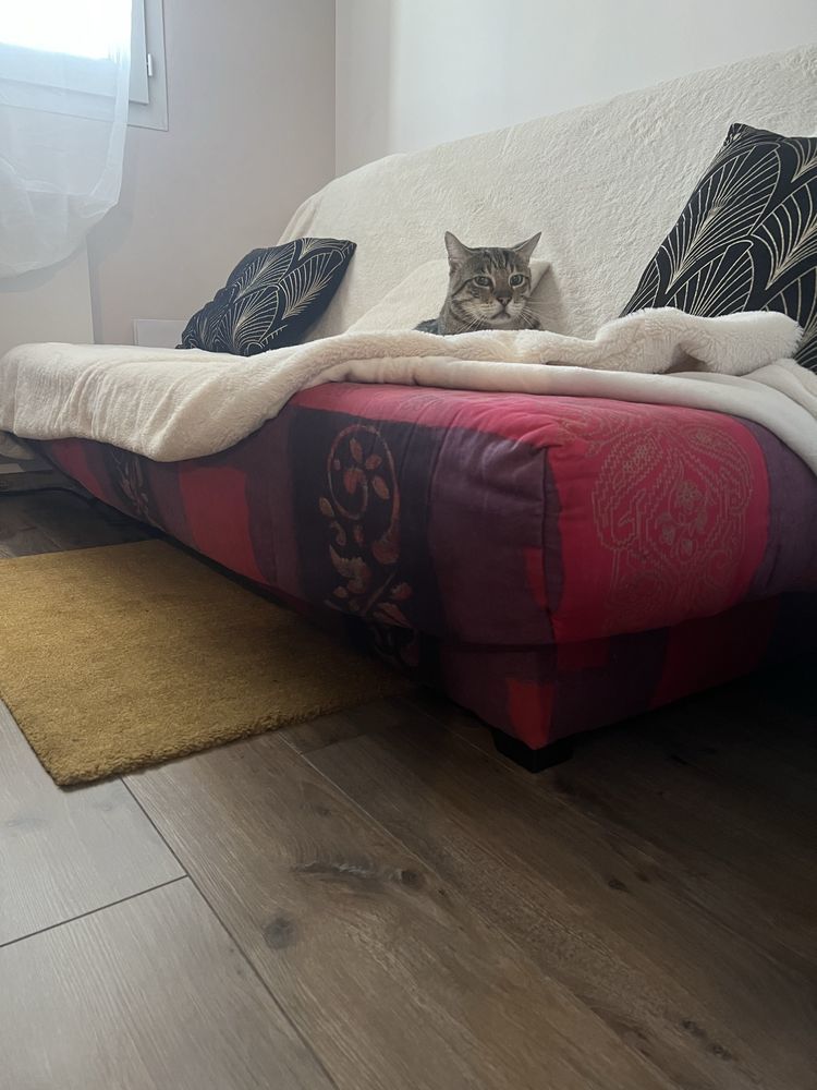 Grand canap� convertible 2 places avec coffre de rangement 40 Saint-Jorioz (74)