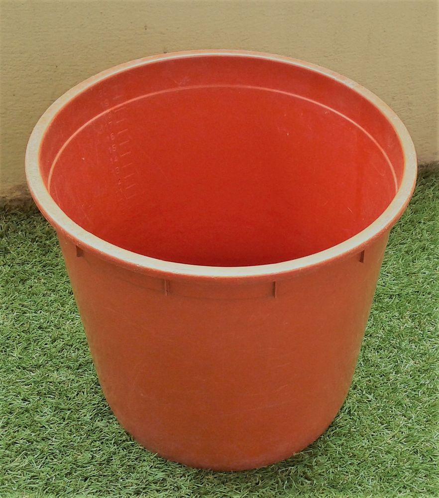 Grand pot de fleurs 15 Toulouse (31)