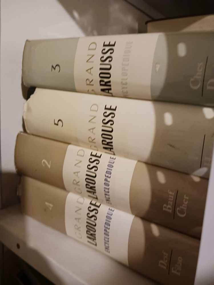 grand larousse  encyclopedique  10 volumes 45 Orange (84)