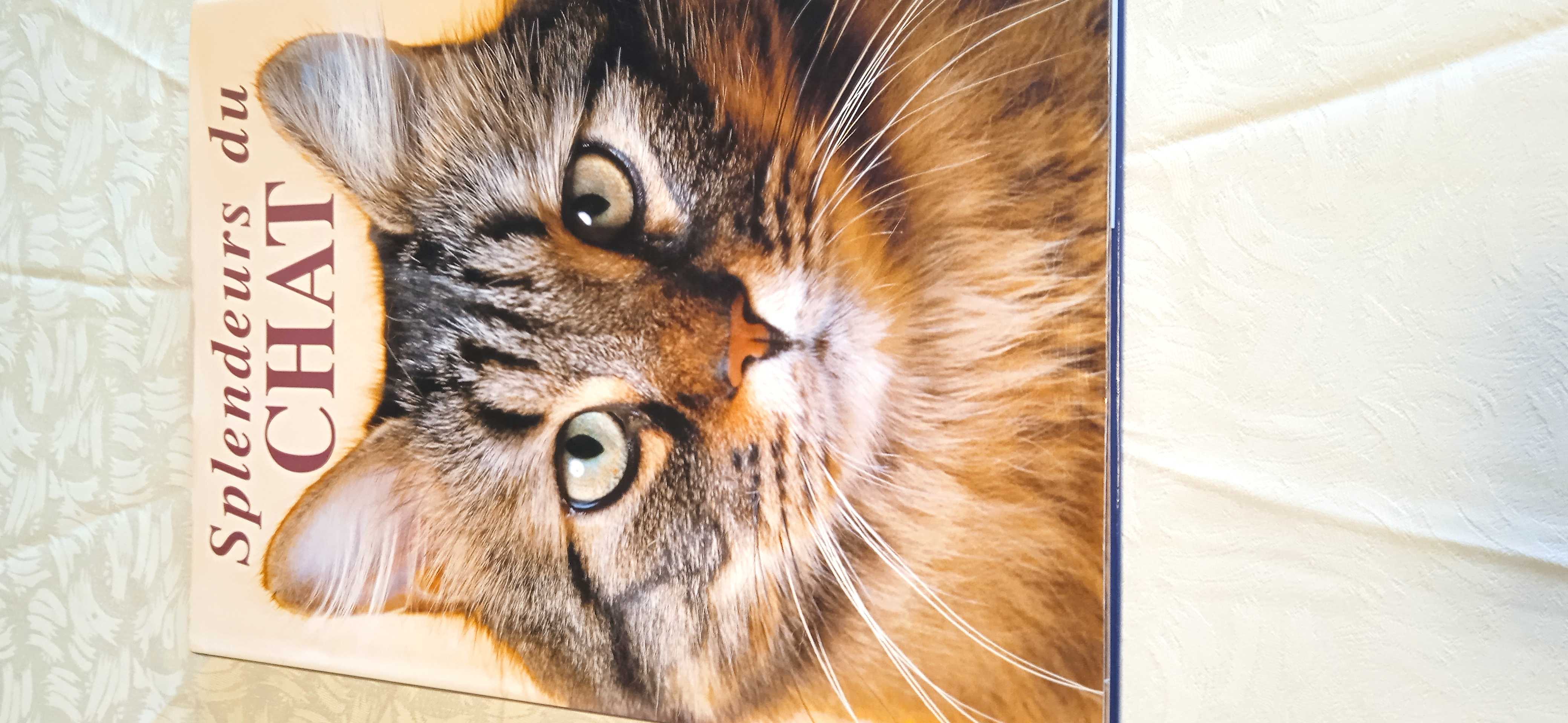 Le grand livre des Chats 12 Canet-en-Roussillon (66)