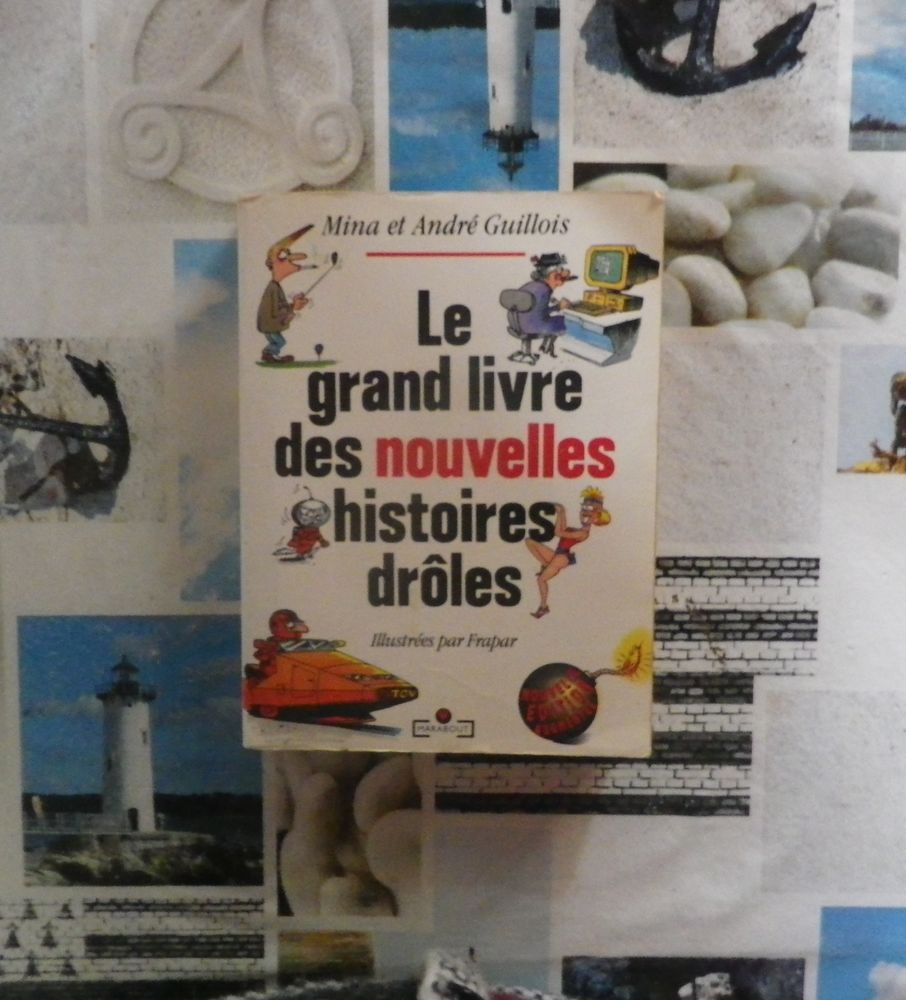LE GRAND LIVRE DES NOUVELLES HISTOIRES DROLES 1990 8 Bubry (56)