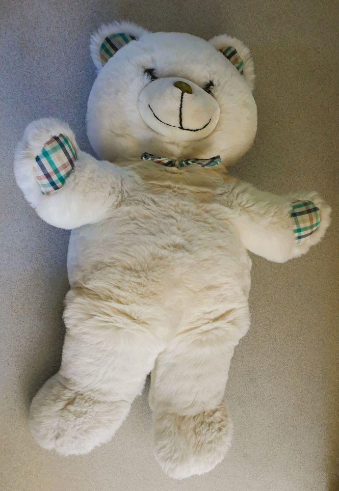 Grand Ours Gipsy 29 Annecy (74)