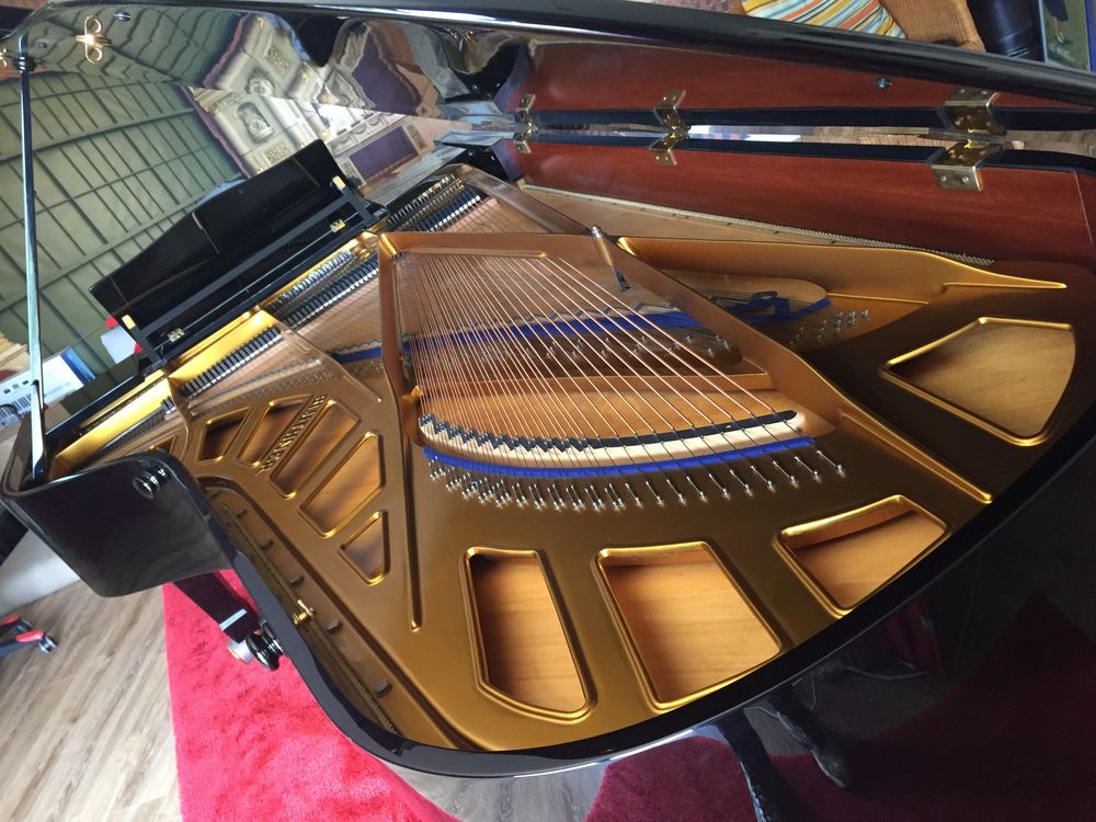 Grand piano à queue bluthner 270 cm modèle 1 30000 La Ciotat (13)