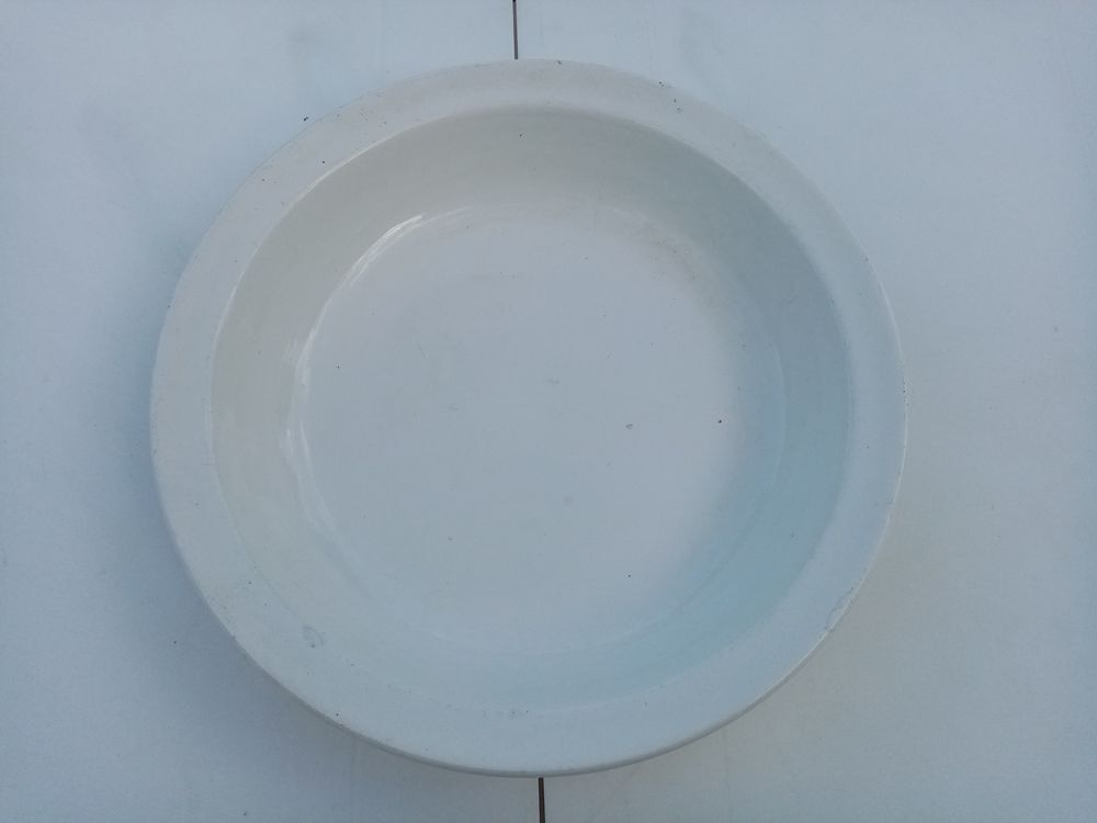 GRAND PLAT DIGOIN SARREGUEMINES 10 Le Mans (72)