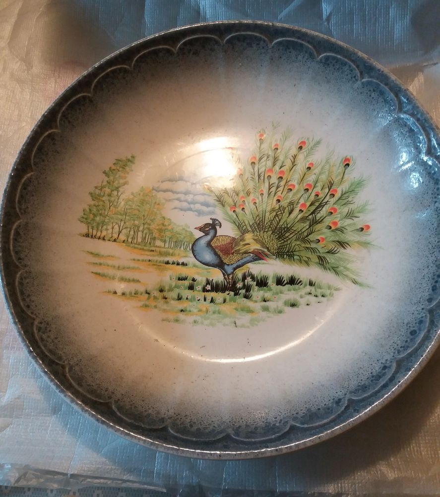 Grand plat � fruits ou a tarte 8 Le Plessis-Bouchard (95)