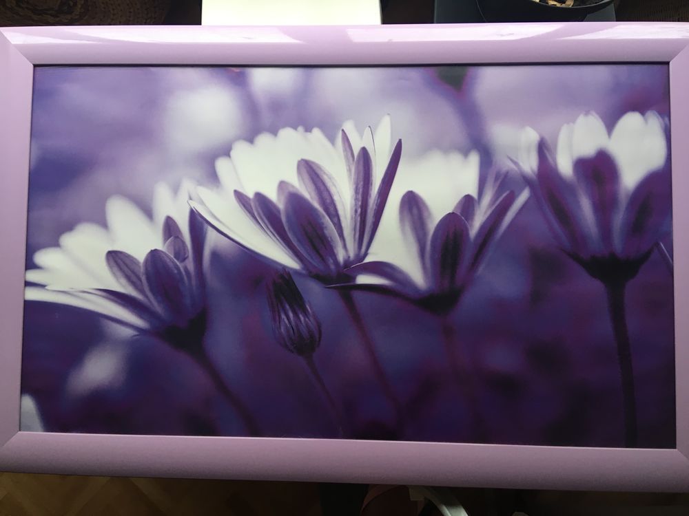 Grand TABLEAU Photo MARGUERITES Mauve
BAISSE de PRIX 19 Nantes (44)