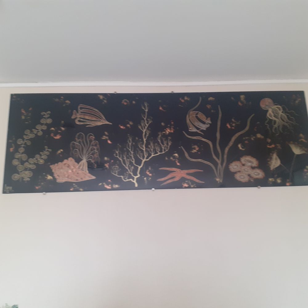 Grand tableaux en verre 40 Fleury-les-Aubrais (45)