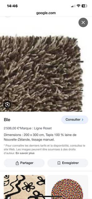 Grand tapis Ligne Roset 950 Lyon 3 (69)