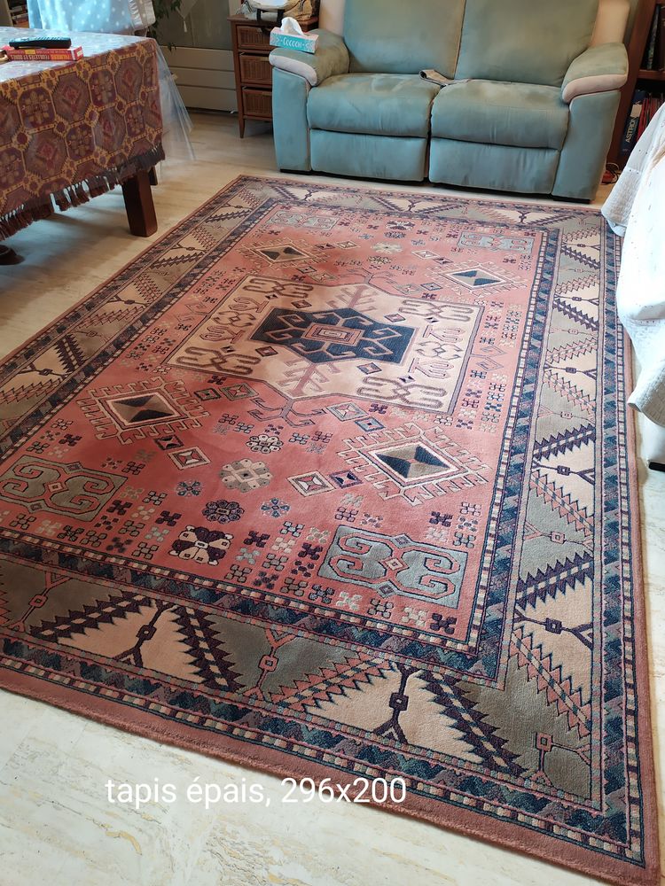 Grand tapis salon epais bon etat 70 Vienne (38)