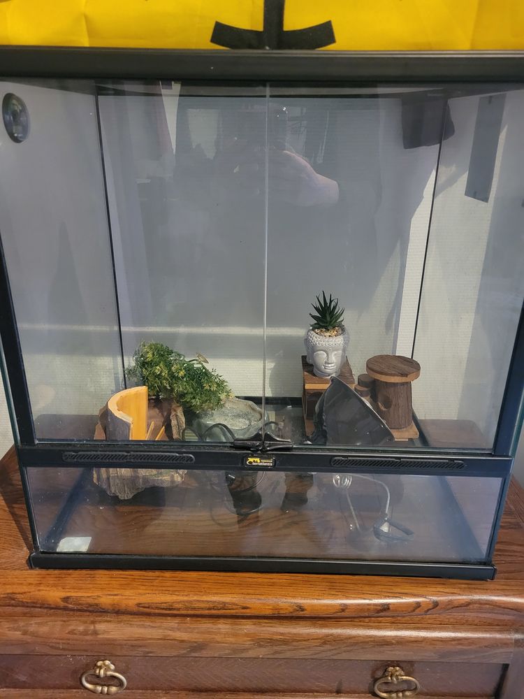 Grand terrarium Tr�s bonne �tat 190 Troyes (10)