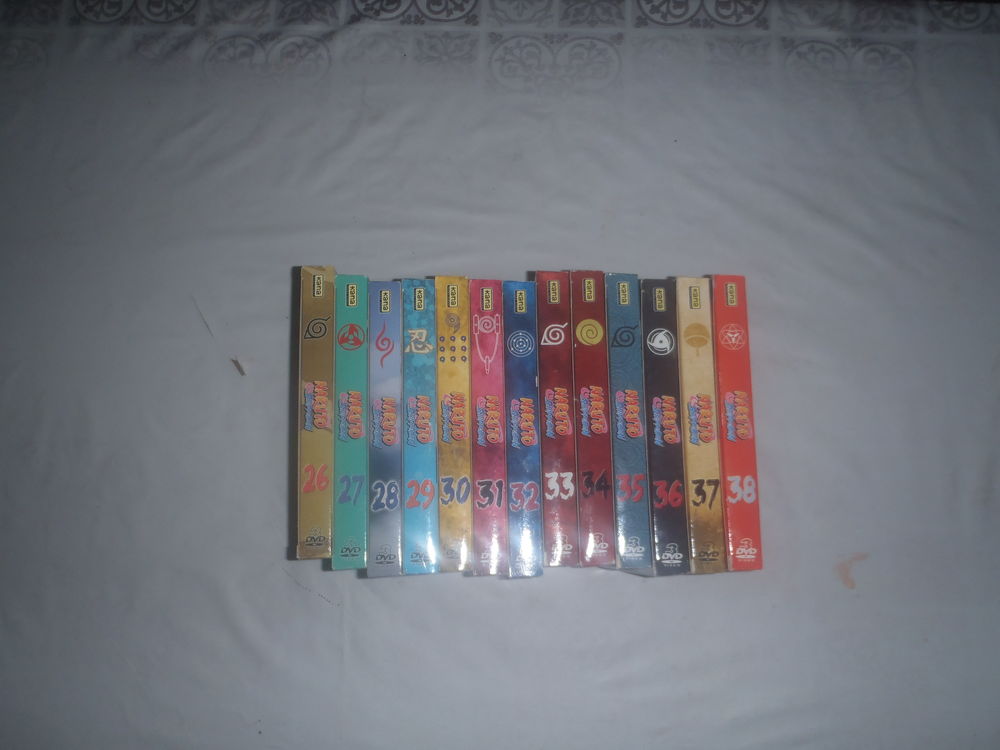 grand vide maison et vide garage 0 Goos (40)