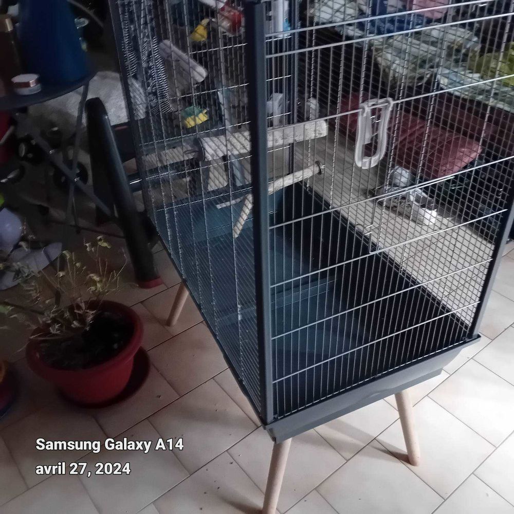 Grande cage neuve 50euro 50 Carpentras (84)