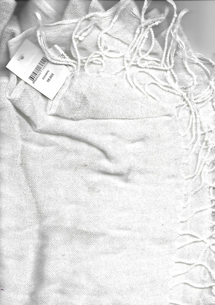 GRANDE ECHARPE POLYESTER NEUF 7 Saint-Denis-en-Val (45)