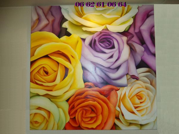 Grande huile sur toile - CHRISTINA BARDRAM 3500 Cagnes-sur-Mer (06)