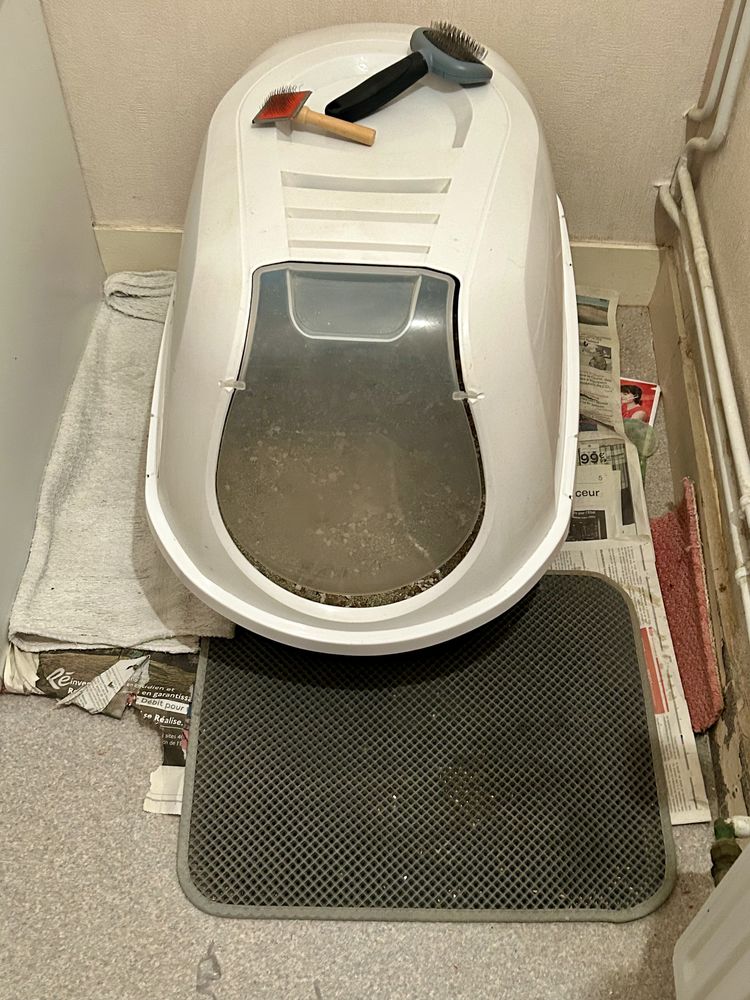 Grande liti�re chat plus hamac 20 Saint-Malo (35)