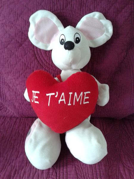 Grande Peluche Eluz ( style DIDDL )-45cm-Tr�s bonne �tat 8 Barentin (76)